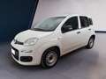 Fiat Panda III Van 2021 van 1.0 hybrid Pop 70cv 2p.ti Bianco - thumbnail 2
