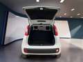 Fiat Panda III Van 2021 van 1.0 hybrid Pop 70cv 2p.ti Bianco - thumbnail 7