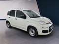 Fiat Panda III Van 2021 van 1.0 hybrid Pop 70cv 2p.ti Bianco - thumbnail 3