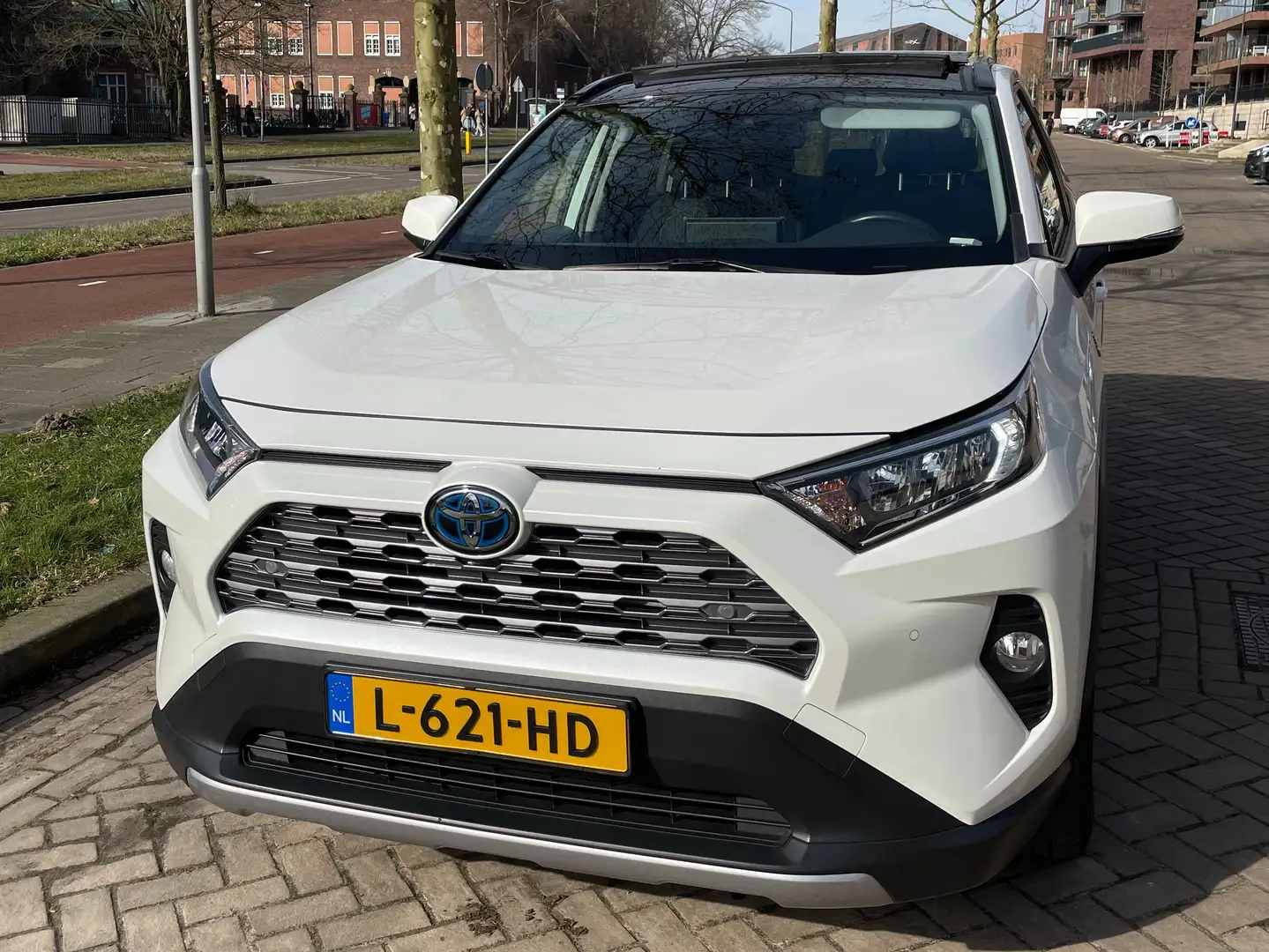 Toyota RAV 4 RAV 4 2.5 Hybrid Bus Intro Wit - 1