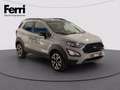 Ford EcoSport 1.0 ecoboost Active s&s 125cv Grigio - thumbnail 13