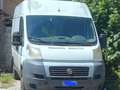 Fiat Ducato - thumbnail 1