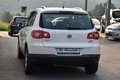 Volkswagen Tiguan Sport & Style 1.4 TSI / Reifen Neu / Weiß - thumbnail 5