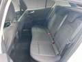 Ford Focus Active 1.0 EcoBoost Mild-Hybrid EU6d Weiß - thumbnail 12
