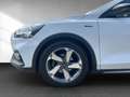 Ford Focus Active 1.0 EcoBoost Mild-Hybrid EU6d Weiß - thumbnail 20