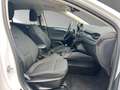 Ford Focus Active 1.0 EcoBoost Mild-Hybrid EU6d Weiß - thumbnail 16