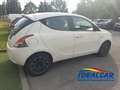 Lancia Ypsilon Ypsilon 1.2 Gold 69cv Bianco - thumbnail 4
