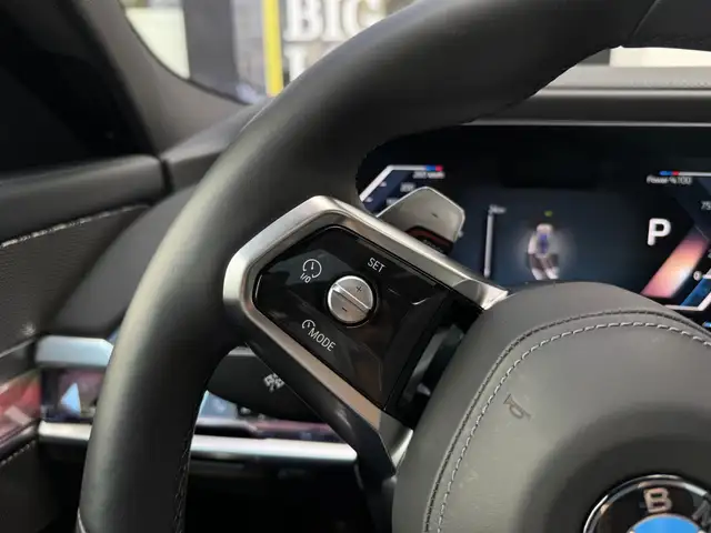 BMW 7 Series view 19