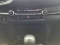 Mazda CX-30 e-SKYACTIV X SOMO HOMURA+GJ-RÄDER !! Grau - thumbnail 13