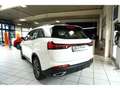 DFSK Fengon 1.5 Turbo GDI Autom. 7-Sitzer 360°Kam. Weiß - thumbnail 8