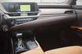 Lexus ES 300 300h Business Line Bleu - thumbnail 14