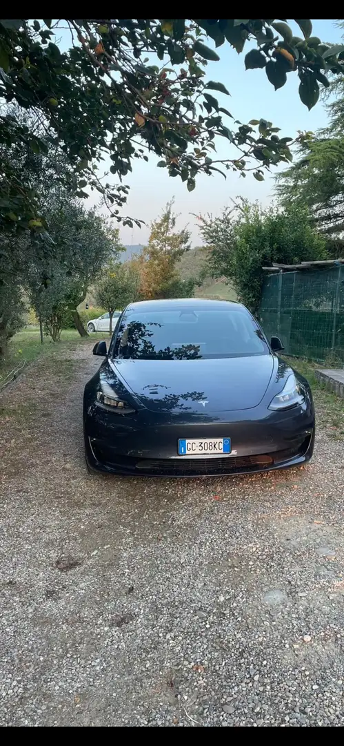 Tesla Model 3 Long Range Dual Motor awd - 2