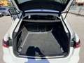 Audi A6 Avant 40 2.0 tdi mhev Business Plus s-tronic Bianco - thumbnail 13