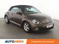 Volkswagen Beetle 1.4 TSI Design Aut.*NAVI*TEMPO*PDC*SHZ*KLIMA* Braun - thumbnail 8