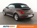 Volkswagen Beetle 1.4 TSI Design Aut.*NAVI*TEMPO*PDC*SHZ*KLIMA* Braun - thumbnail 4