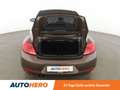 Volkswagen Beetle 1.4 TSI Design Aut.*NAVI*TEMPO*PDC*SHZ*KLIMA* Braun - thumbnail 16