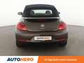 Volkswagen Beetle 1.4 TSI Design Aut.*NAVI*TEMPO*PDC*SHZ*KLIMA* Braun - thumbnail 5