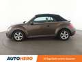 Volkswagen Beetle 1.4 TSI Design Aut.*NAVI*TEMPO*PDC*SHZ*KLIMA* Braun - thumbnail 3
