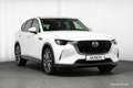 Mazda CX-60 2.5L PHEV AWD Exclusive 360° BOSE HEAD-UP ++ Weiß - thumbnail 46