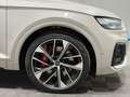 Audi SQ5 TDI | MATRIX NAVI PANO AHK STDHZG Beige - thumbnail 18