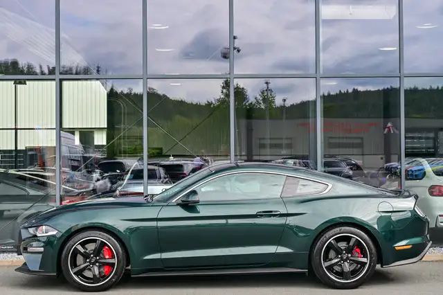 Ford Mustang view 6