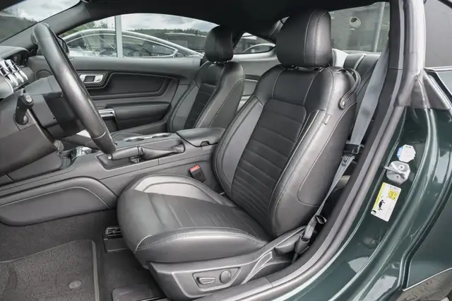 Ford Mustang view 11