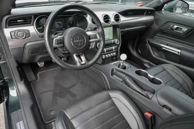 Ford Mustang view 9