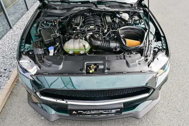 Ford Mustang view 7