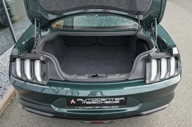 Ford Mustang view 8
