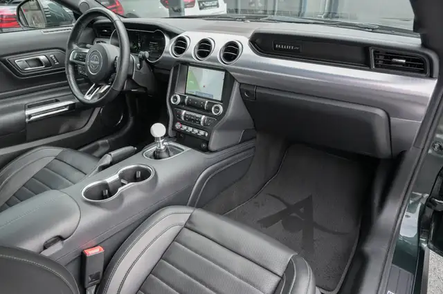 Ford Mustang view 10