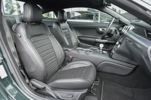 Ford Mustang view 12