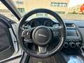 Jaguar E-Pace 2.0D AWD aut.SE 150cv Bianco - thumbnail 9