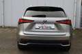 Lexus NX 300h AWD Business Line Brun - thumbnail 25