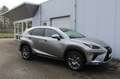 Lexus NX 300h AWD Business Line Brun - thumbnail 4