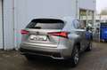 Lexus NX 300h AWD Business Line Brun - thumbnail 3