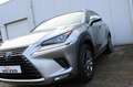 Lexus NX 300h AWD Business Line Brun - thumbnail 10