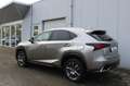 Lexus NX 300h AWD Business Line Brun - thumbnail 2