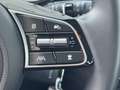 Kia Ceed / cee'd SW 1.6 CRDi (48V Mild-Hybrid) DCT7 Vision Grau - thumbnail 13