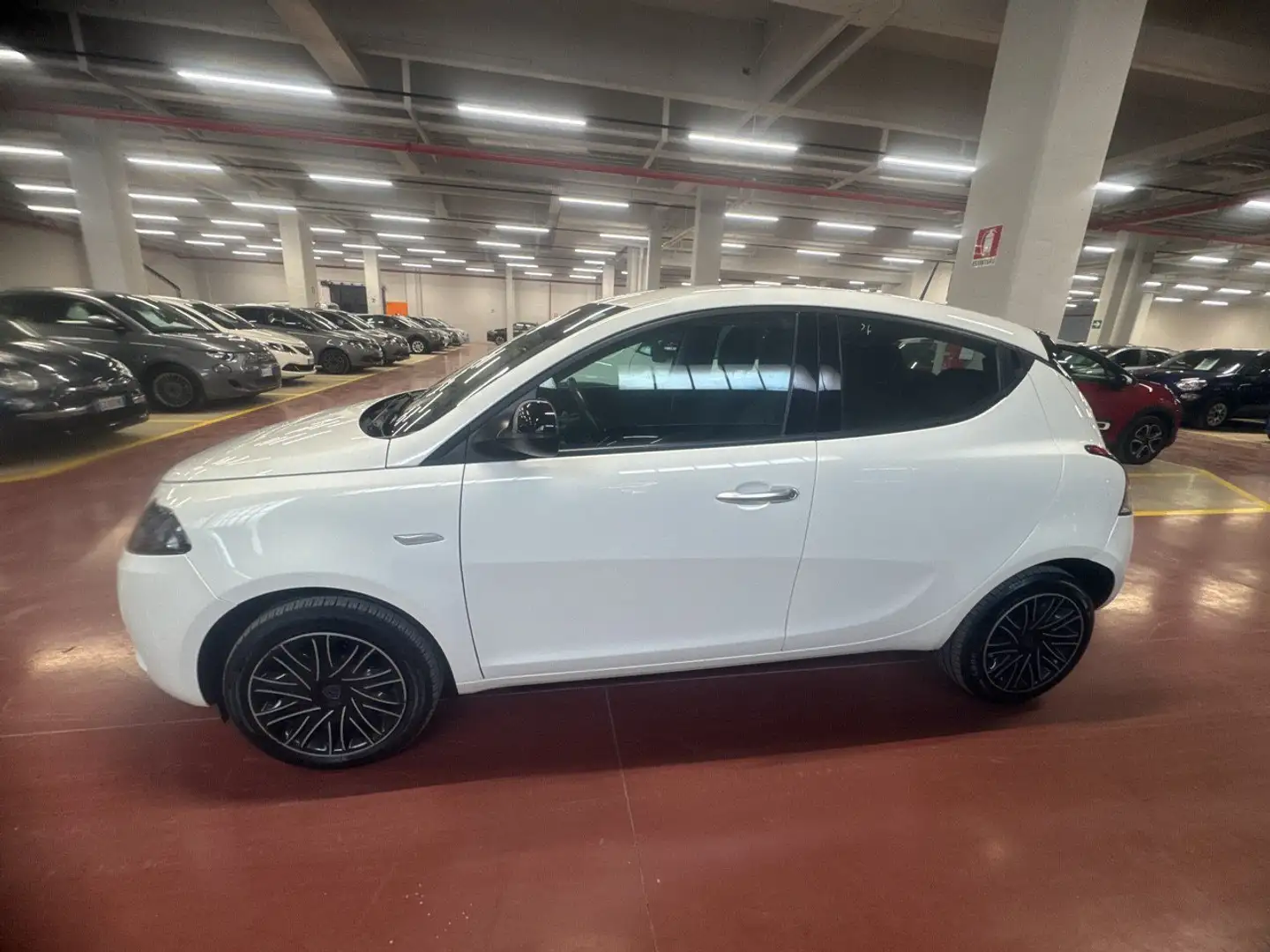 Lancia Ypsilon 1.0 FireFly 70cv Hybrid Gold Blanco - 2