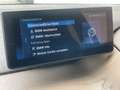 BMW i3 42,2kWh * Sportpaket * Leder * nur 10.000km * Beige - thumbnail 13