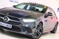 Mercedes-Benz CLS 300 300d Aut. Gris - thumbnail 29