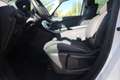 Renault Scenic 1.3 TCE BOSE Edition LED Navi ACC DAB Weiß - thumbnail 9