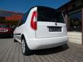 Skoda Roomster Ambition Plus Edition Alu16"/Navi/SHZ Blanco - thumbnail 12