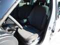 Skoda Roomster Ambition Plus Edition Alu16"/Navi/SHZ Blanco - thumbnail 24