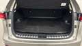Lexus NX 300h 300h 2WD Luxe Plus MY21 - thumbnail 14