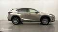 Lexus NX 300h 300h 2WD Luxe Plus MY21 - thumbnail 4