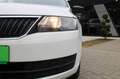 Skoda Rapid/Spaceback Active Weiß - thumbnail 5