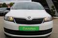 Skoda Rapid/Spaceback Active Weiß - thumbnail 4