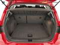 SEAT Arona Arona 1.0 EcoTSI Reference Rosso - thumbnail 13