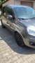 Fiat New Panda Grau - thumbnail 2